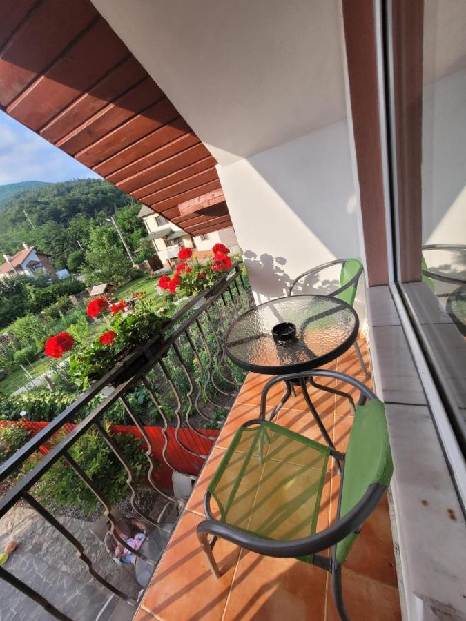 Vila Castelana Căciulata Exterior foto